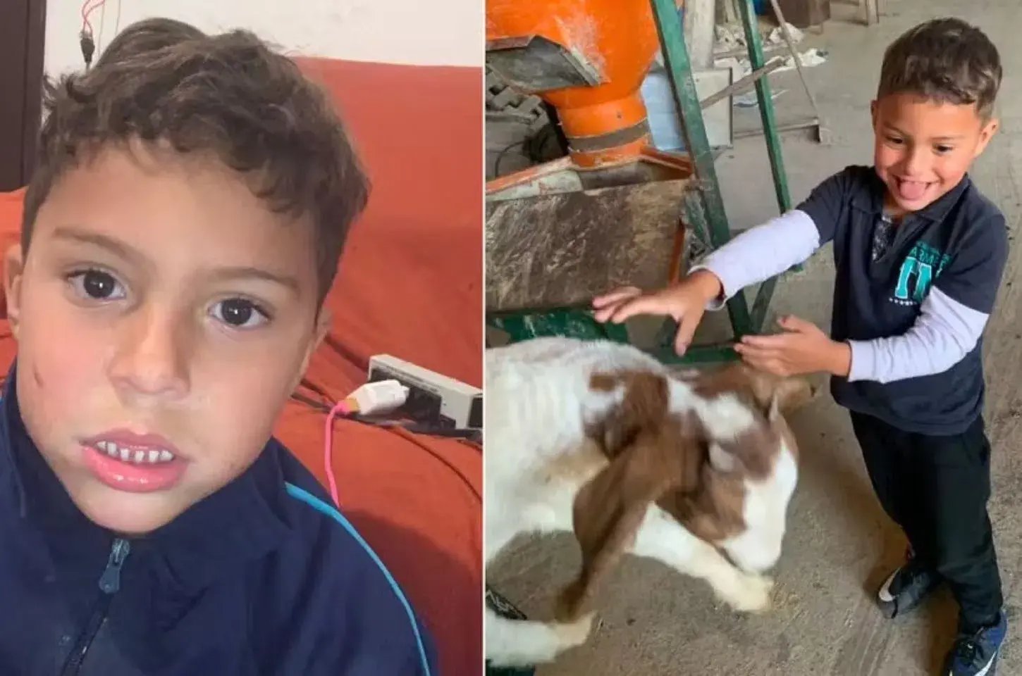 URGENTE: Menino autista de 5 anos desaparece em área de mata e mobiliza força-tarefa em Araucária (RMC)