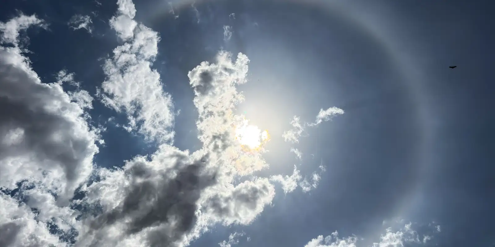Halo solar encanta moradores no Centro-Oeste e especialista explica fenômeno