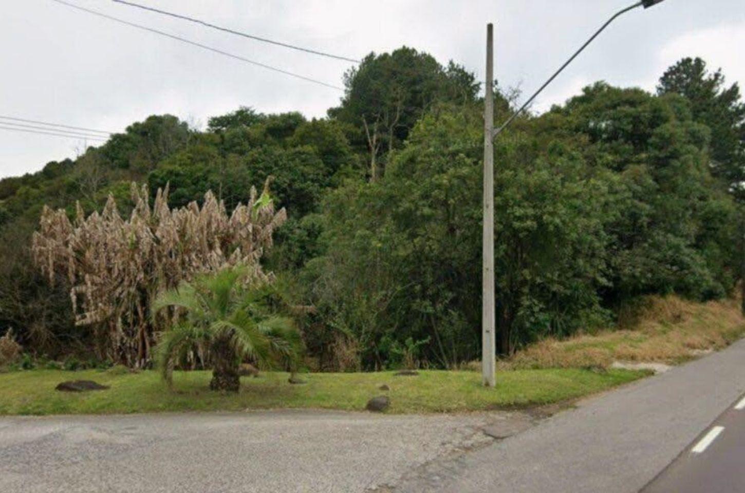 Corpo esquartejado é encontrado em área de mata na Rodovia dos Minérios em Curitiba