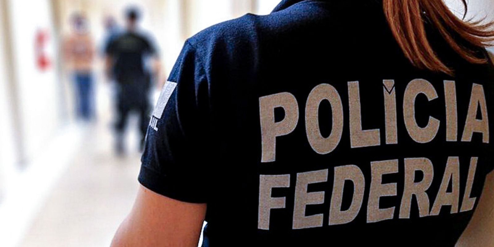 PF combate fraude no registro de armas de colecionadores e atiradores