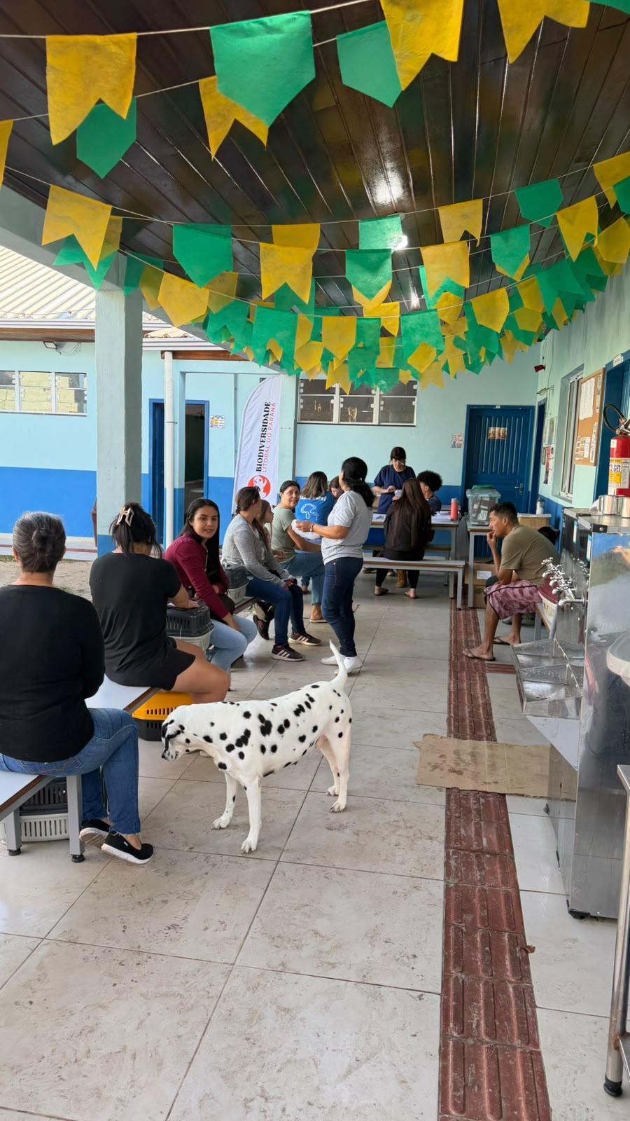 UFPR promove mutirão gratuito de castração de cães e gatos em Guaraqueçaba entre 1º e 6 de setembro