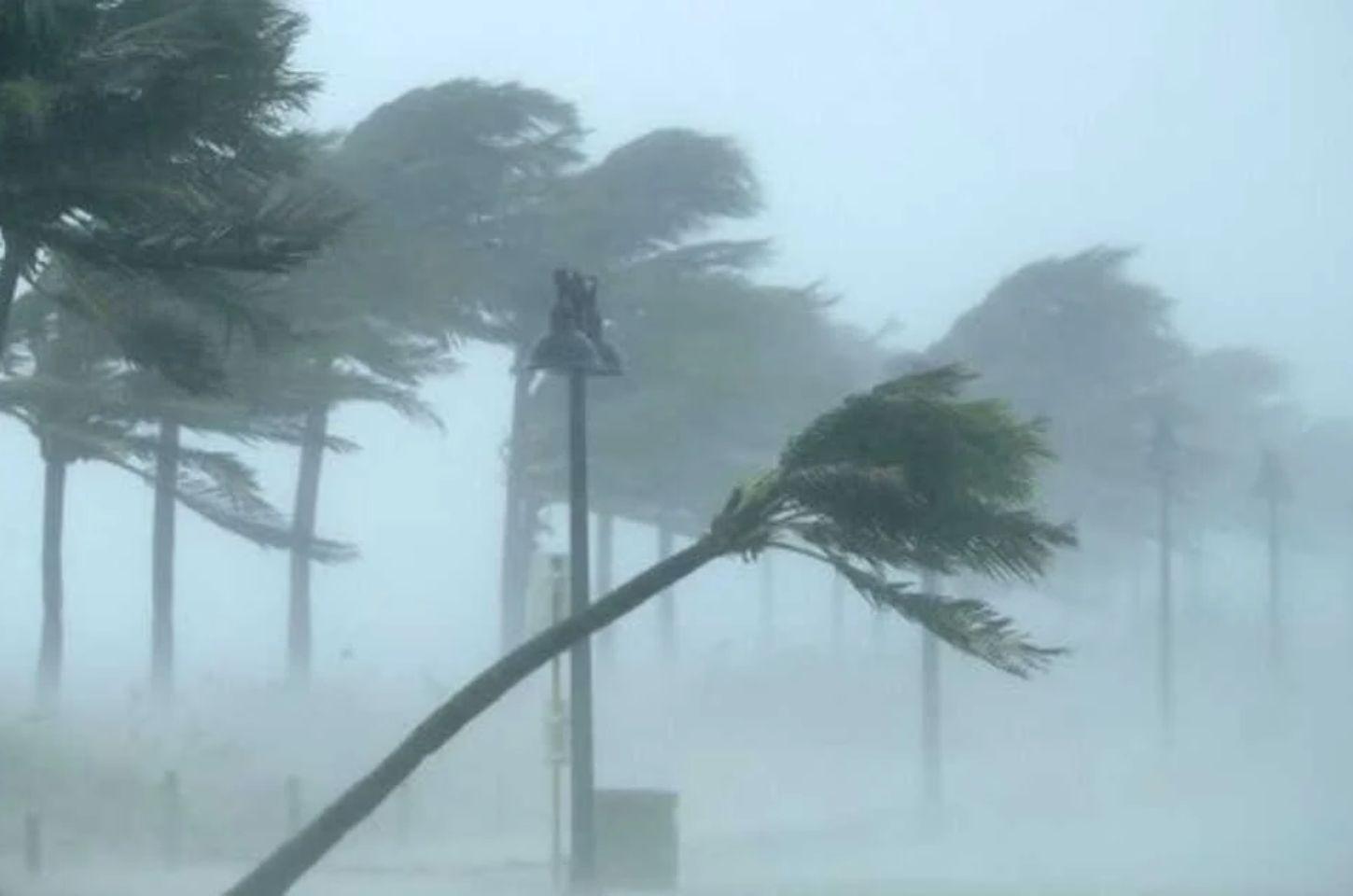 Alerta Máximo no Paraná: El Niño Atinge Nível 'Muito Forte' Após Deixar 150 Mil Afetados e 9 Tornados