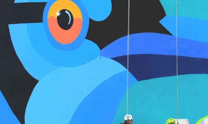 Arte urbana em Curitiba ganha nova empena com gralha-azul no centro da cidade