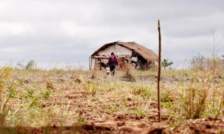 Apesar de queda em mortes, conflitos no campo crescem no Brasil