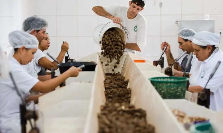 Mdic encerra consulta sobre produtos sustentáveis no acordo Mercosul-UE