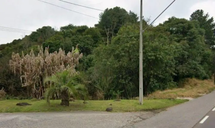 Corpo esquartejado é encontrado em área de mata na Rodovia dos Minérios em Curitiba
