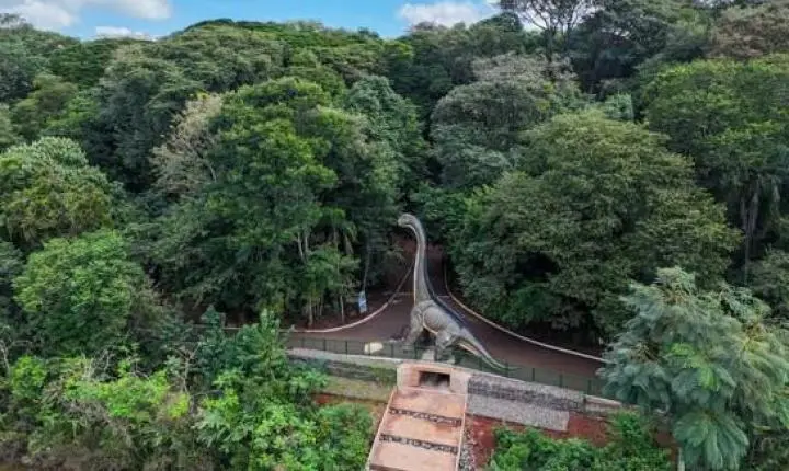 Exposição ‘Jurássico Condor’ viraliza e coloca Maringá em destaque nas redes sociais