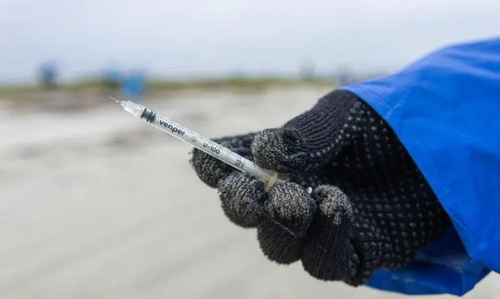 Mutirões recolhem mais de 6 toneladas de resíduos em praias e manguezais do litoral do Paraná