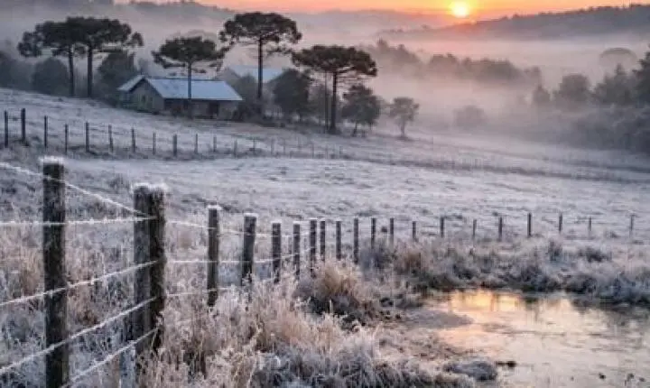 Paraná registra o amanhecer mais gelado do ano com temperaturas negativas
