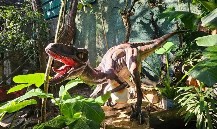 Parque do Ingá recebe exposição inédita ‘Jurássico Condor’ com réplicas de dinossauros