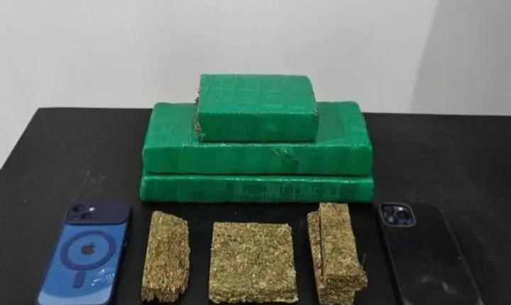 Rotam apreende maconha após perseguição na BR-376 em Nova Esperança