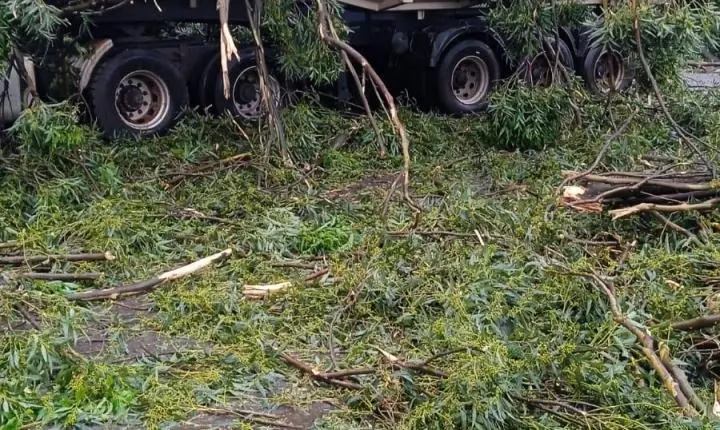 Suposto tornado assusta moradores e causa estragos em Cornélio Procópio