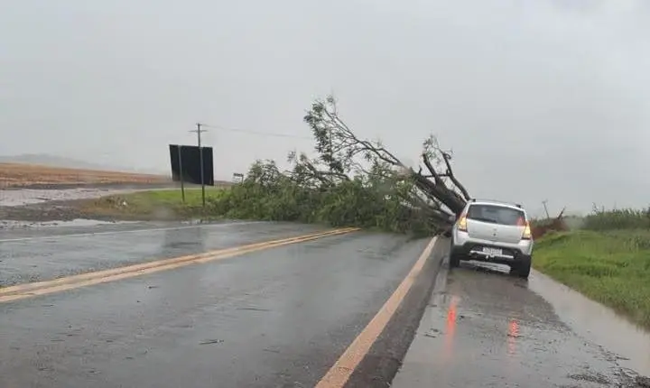 Suposto tornado assusta moradores e causa estragos em Cornélio Procópio