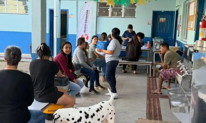 UFPR promove mutirão gratuito de castração de cães e gatos em Guaraqueçaba entre 1º e 6 de setembro